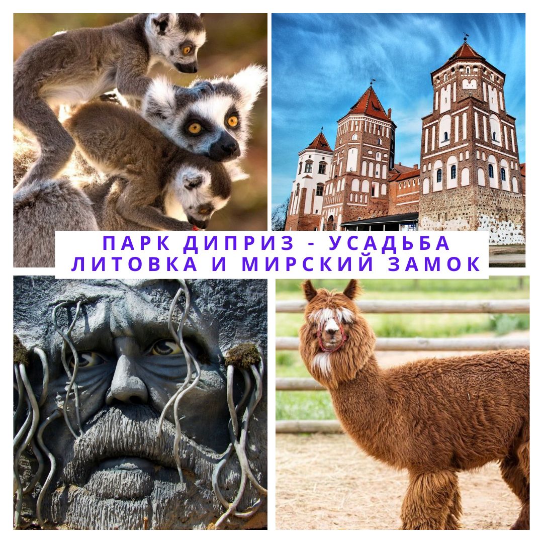 Парк «Диприз», усадьба «Литовка» и Мирский замок — тур из Минска